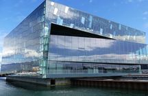 Reykjavik City Private Tour