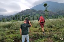 Full day Mt. Bisoke hike 