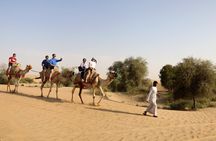 Dubai: Morning Heritage Safari by Vintage G Class & Al Marmoom Oasis