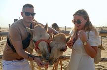 Dubai: Morning Heritage Safari by Vintage G Class & Al Marmoom Oasis