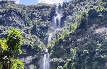 La Chorrera Cloud Forest & Waterfall Hike