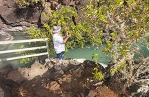 Galapagos- Santa Cruz Explorer 4 days 