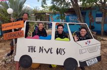 2 tank guided dive House Reef (Pierbaai Reef and Car Pile)