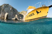 Beginner Scuba Diving in Cabo San Lucas