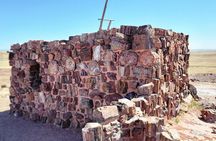 Sedona to Petrified Forest/Painted Desert Adventure PRIVATE TOUR!