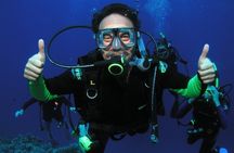 Private Intro or Refresher Dive Kaanapali