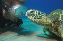Private Intro or Refresher Dive Kaanapali