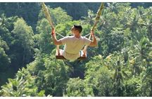 Ubud Natural Scenery with Swing