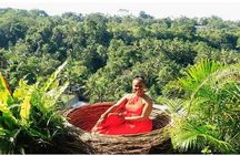 Ubud Natural Scenery with Swing