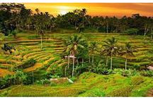 Private Tour:Kintamani Volcano Tour With Entrance Ticket & Hotel Transfer