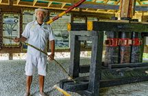 Dominican Countryside Half Day Tour