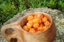Lapland Berry Day Experience