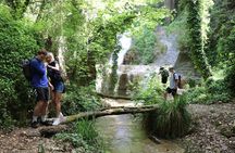 Half-Day River Trekking Stenosia from Kalamata