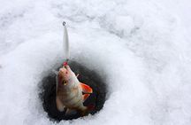 Lapland Ice Fishing Experience from Rovaniemi
