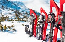 Lapland Winter Experience