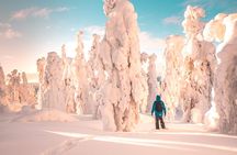 Lapland Winter Experience