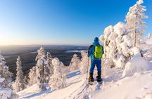 Lapland Winter Experience