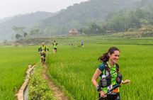 Mai Chau and Moc Chau 2 day trip