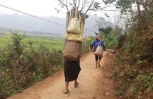 Mai Chau and Moc Chau 2 day trip