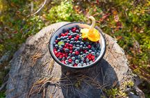 Taste of Lapland