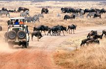 3 days Safari to Tarangire, Ngorongoro and Manyara from Zanzibar