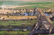 3 days Safari to Tarangire, Ngorongoro and Manyara from Zanzibar
