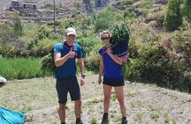 Private 3 Day Colca Canyon Trekking tour (superior Service)