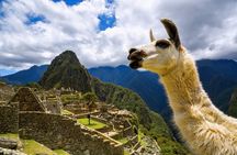 Machu Picchu Full Day with lunch by Aludi Travel