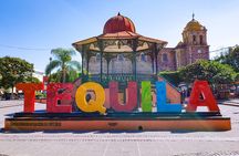 full day Tequila tour visiting artisanal distillery and downtown.