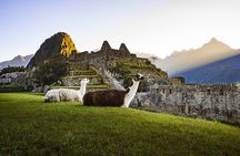 Machu Picchu Full Day with lunch by Aludi Travel