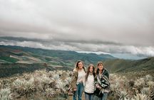 A Colombian introduction: Bogota and Cartagena 5-Day Tour