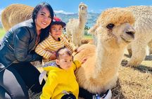 Shamarra Alpaca Farm Tours