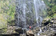 Rainforest Hike to Hidden Waterfall in Puerto Rico with Transport