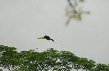 Birdwatching hiking tour