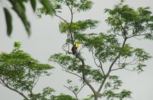 Birdwatching hiking tour