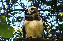 Birdwatching hiking tour