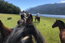  Full day CAYUTUE Horse ride 