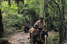  Full day CAYUTUE Horse ride 