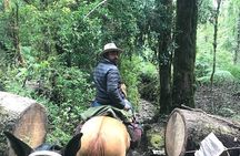  Full day CAYUTUE Horse ride 