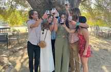 Private tour in Valle de Guadalupe