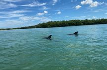 Private Guided Kayak Tour on Big Hickory Pass