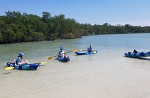2.5-Hour Guided Group Kayak Tour on Big Hickory Pass