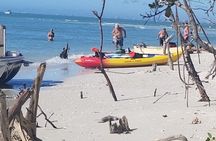 2.5hr shelling and dolphin kayak tour