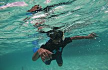 All-Inclusive 22ft Spider Boat to Icacos, Palomino & Palominito