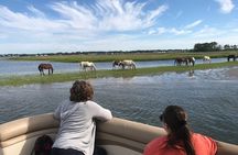 Grand Boat Tour around Chincoteague and Assateague Islands