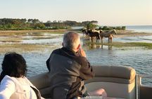 Grand Boat Tour around Chincoteague and Assateague Islands