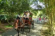 Private Mekong Delta (My Tho - Ben Tre) Full Day by Air-conditioned Car