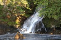 Customizable Private Tour in Ketchikan with Pick Up