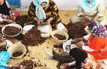Marrakech to Essaouira 2-Days Private Tour