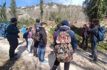 The Rock: an Ancient Refuge